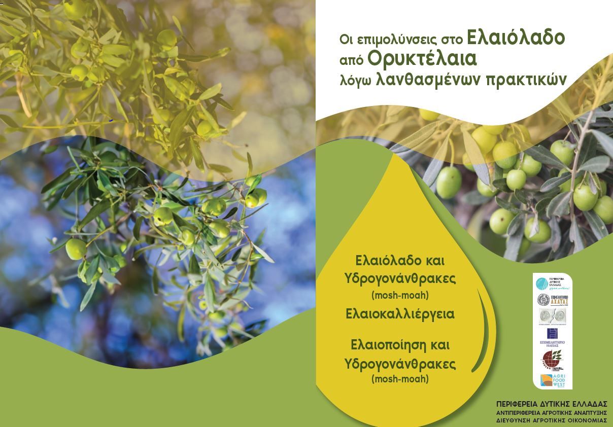 Πρακτικός Οδηγός Επιμελητηρίου Ηλείας - Προστασία από επιμολύνσεις στο ελαιόλαδο