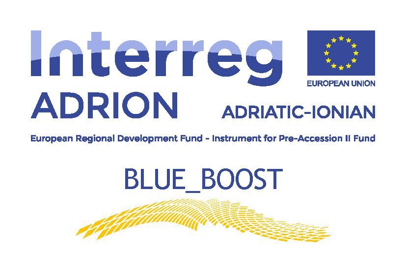 Innovation_cartellini_BLUE_BOOST_14da024c01.jpg